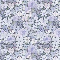 dsSTELLA-DCJ3496 MULTI